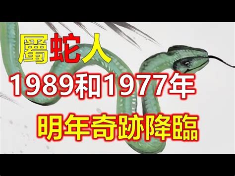 1989生肖五行